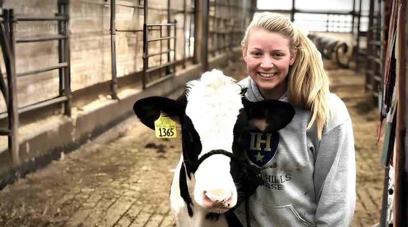 Katy Davis Suffield